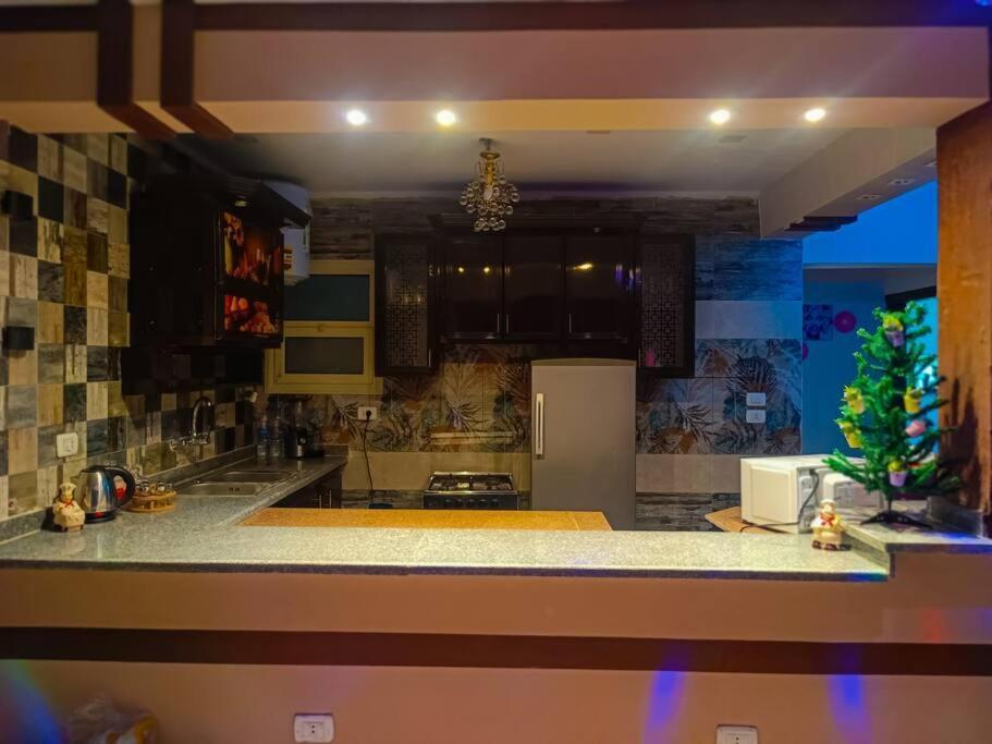 شقة فندقية ترى النيل والاهرامات Apartment Cairo