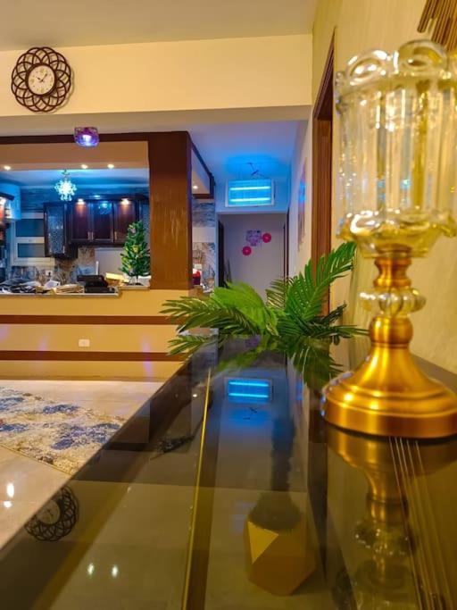 Apartment شقة فندقية ترى النيل والاهرامات *